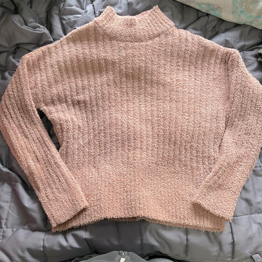 Cropped Turtle Neck Sweater